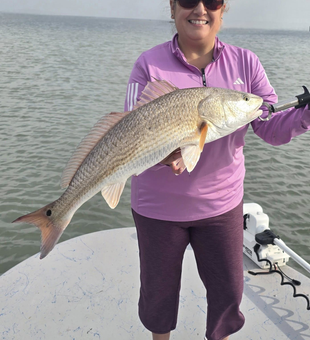 Catch of the day, every day